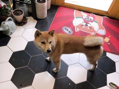 -About Bistro關於·泰式家庭料理