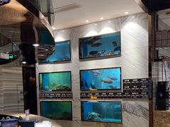-阳光码头海鲜火锅(世纪大道店)