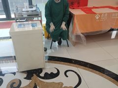 -泰康拜博口腔·二级专科医院(种植·正畸·修复·联合中心)