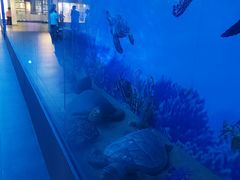 -广东中医药博物馆