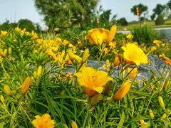 -汉长安城未央宫国家考古遗址公园