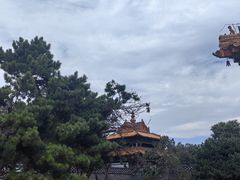 -北陵公园
