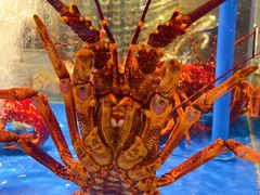 -上和臻品中国菜(花园街店)