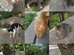 -崂山巨峰游览区