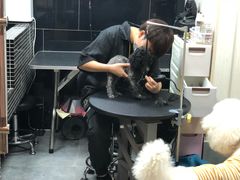 -小尾巴宠物店(万科·金域华庭店)