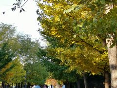 -长白岛森林公园