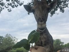 -大连森林动物园