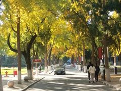 -山东大学(趵突泉校区)