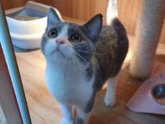 -宠爱有家宠物店(环镇北路店)