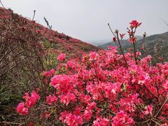 -木兰云雾山