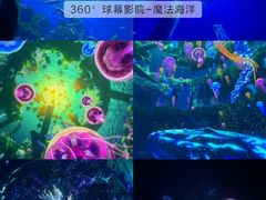 -海合安成都极地海洋公园