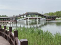 -西海子公园
