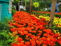 -南宫五洲植物乐园