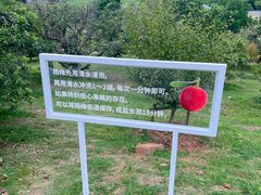 -龙寺生态园