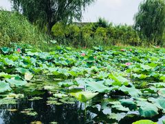 -君豪蟹都·湖景·农家乐(蟹舫苑店)
