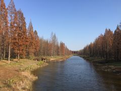 -黄海国家森林公园