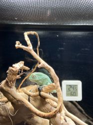 点击看大图 -Zoolung Zoolung动物主题公园(海信广场店)