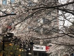 -玛格萝妮比萨屋(四平店)