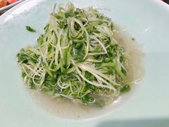 -虎哥私房菜(馒头山店)