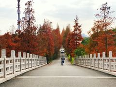 -广富林郊野公园