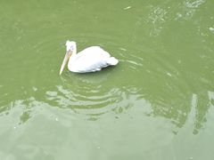 -无锡动物园·太湖欢乐园