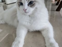 -佳雯宠物医院·皮肤科·内外科(春晓路分院)