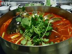 酸汤鱼火锅-泉味道贵州厨房(三里河店)