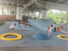 -白鹭湾湿地公园