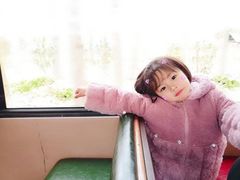 -合肥滨湖国家森林公园