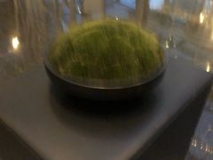 -上海外滩茂悦大酒店