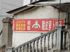 -半月镰胡姐脆皮萝卜饺子
