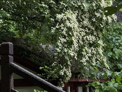 -崀山风景名胜区