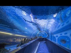 -成都浩海立方海洋公园