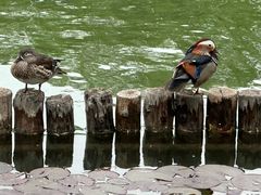 -陶然亭公园