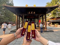 -西安大兴善寺