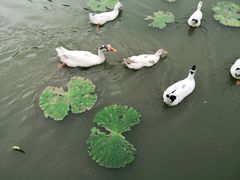 -白鹿原影视城