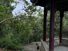 -灵岩山风景区