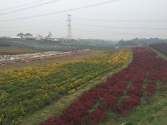 iphone_upload_pic-紫颐香薰山谷景区
