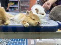 -三旗百汇商品城