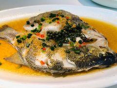 姜茸花椒鲈鱼-春暖花开(西溪店)