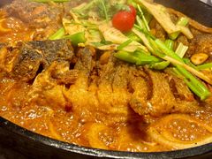 -老板恋上鱼(高新万达店)