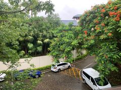 -采粤轩中餐厅(惠州金海湾喜来登度假酒店)