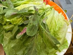-菌乡缘·野生菌蒸汽鱼火锅(江边夜市店)