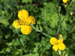 iphone_upload_pic-大连北马山庄