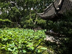 -上海醉白池公园
