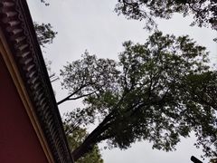 -宝光寺