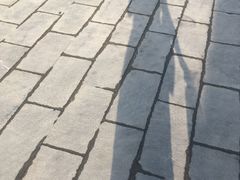 -北京市第五十五中学