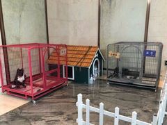 -上海崇明金茂凯悦酒店