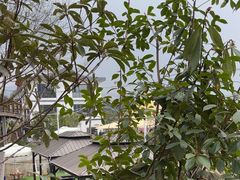 -正宗火盆自助烧烤·烤全羊·柴火鸡(龙泉山店)