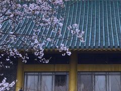 -武汉大学-樱园